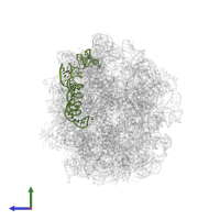 5s rRNA in PDB entry 7as8, assembly 1, side view.