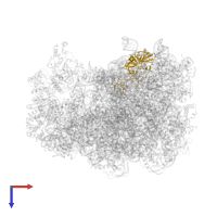 Large ribosomal subunit protein uL2 in PDB entry 7as8, assembly 1, top view.