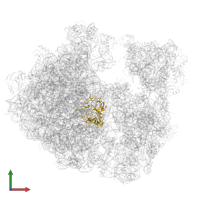 Large ribosomal subunit protein uL2 in PDB entry 7asp, assembly 1, front view.