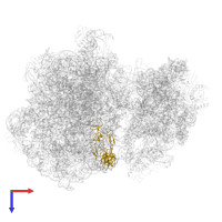 Large ribosomal subunit protein uL2 in PDB entry 7asp, assembly 1, top view.