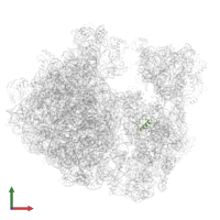 Small ribosomal subunit protein bS18 in PDB entry 7asp, assembly 1, front view.