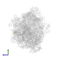 Small ribosomal subunit protein bS18 in PDB entry 7asp, assembly 1, side view.