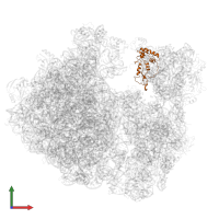 Small ribosomal subunit protein uS7 in PDB entry 7asp, assembly 1, front view.