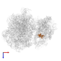 Small ribosomal subunit protein uS7 in PDB entry 7asp, assembly 1, top view.