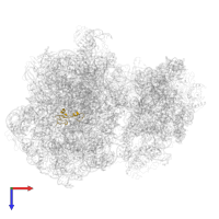 Large ribosomal subunit protein bL35 in PDB entry 7asp, assembly 1, top view.
