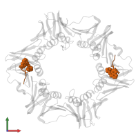 Peptide 20 in PDB entry 7azd, assembly 1, front view.