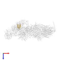 Ribosomal protein/NADH dehydrogenase domain-containing protein in PDB entry 7b0n, assembly 1, top view.