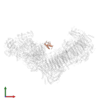 Acyl carrier protein in PDB entry 7b0n, assembly 1, front view.