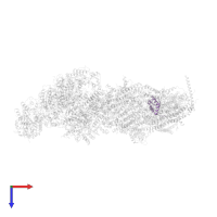 Acyl carrier protein in PDB entry 7b0n, assembly 1, top view.