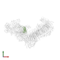 ETC complex I subunit conserved region-domain-containing protein in PDB entry 7b0n, assembly 1, front view.