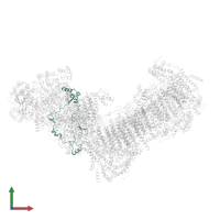 Subunit NUZM of NADH:Ubiquinone Oxidoreductase (Complex I) in PDB entry 7b0n, assembly 1, front view.