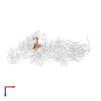 NADH:ubiquinone oxidoreductase-like 20kDa subunit domain-containing protein in PDB entry 7b0n, assembly 1, top view.