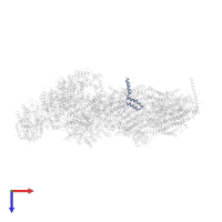 Subunit NIPM of NADH:Ubiquinone Oxidoreductase (Complex I) in PDB entry 7b0n, assembly 1, top view.