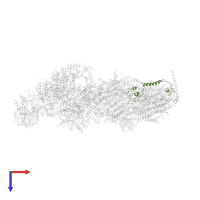 Subunit NIAM of NADH:Ubiquinone Oxidoreductase (Complex I) in PDB entry 7b0n, assembly 1, top view.