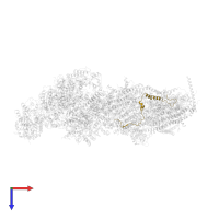 NUVM protein in PDB entry 7b0n, assembly 1, top view.