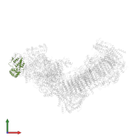 Subunit NUHM of protein NADH:Ubiquinone oxidoreductase in PDB entry 7b0n, assembly 1, front view.