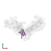 NADH-ubiquinone oxidoreductase chain 1 in PDB entry 7b0n, assembly 1, front view.