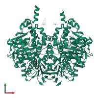 Amine oxidase [flavin-containing] B in PDB entry 7b0z, assembly 1, front view.