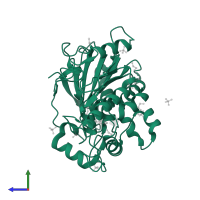 Palmitoleoyl-protein carboxylesterase NOTUM in PDB entry 7b2y, assembly 1, side view.