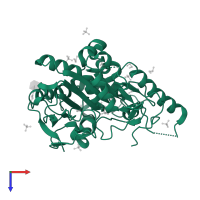 Palmitoleoyl-protein carboxylesterase NOTUM in PDB entry 7b2y, assembly 1, top view.