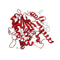 The deposited structure of PDB entry 7b37 contains 1 copy of Pfam domain PF03283 (Pectinacetylesterase) in Palmitoleoyl-protein carboxylesterase NOTUM. Showing 1 copy in chain A.