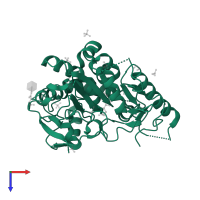 Palmitoleoyl-protein carboxylesterase NOTUM in PDB entry 7b37, assembly 1, top view.