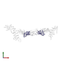 Trafficking protein particle complex subunit in PDB entry 7b6r, assembly 1, front view.