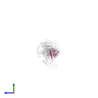 TRAPP subunit 33 in PDB entry 7b6r, assembly 1, side view.