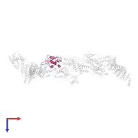 TRAPP subunit 33 in PDB entry 7b6r, assembly 1, top view.