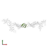 Trafficking protein particle complex subunit in PDB entry 7b6r, assembly 1, front view.