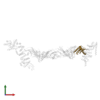 Probable trafficking protein particle complex subunit 2 in PDB entry 7b6r, assembly 1, front view.