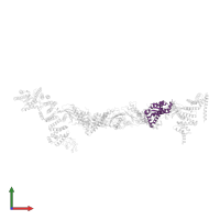 Trafficking protein particle complex subunit 5 in PDB entry 7b6r, assembly 1, front view.