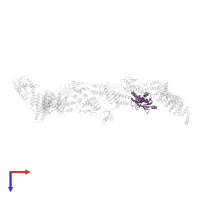 Trafficking protein particle complex subunit 5 in PDB entry 7b6r, assembly 1, top view.