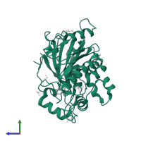 Palmitoleoyl-protein carboxylesterase NOTUM in PDB entry 7b8a, assembly 1, side view.