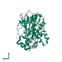 Palmitoleoyl-protein carboxylesterase NOTUM in PDB entry 7b8m, assembly 1, side view.