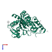 Palmitoleoyl-protein carboxylesterase NOTUM in PDB entry 7b8m, assembly 1, top view.