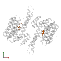 Estrogen receptor in PDB entry 7ba7, assembly 1, front view.