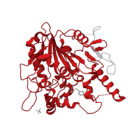 The deposited structure of PDB entry 7bck contains 1 copy of Pfam domain PF03283 (Pectinacetylesterase) in Palmitoleoyl-protein carboxylesterase NOTUM. Showing 1 copy in chain A.