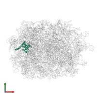 Large ribosomal subunit protein uL30 in PDB entry 7bhp, assembly 1, front view.