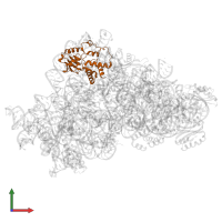 Small ribosomal subunit protein uS4 in PDB entry 7bod, assembly 1, front view.