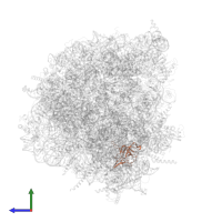 Large ribosomal subunit protein uL14A in PDB entry 7bt6, assembly 1, side view.