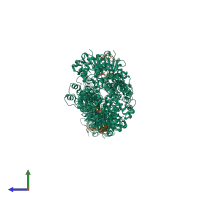Hetero octameric assembly 1 of PDB entry 7bte coloured by chemically distinct molecules, side view.
