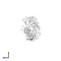 tRNA(Thr) (cytosine(32)-N(3))-methyltransferase in PDB entry 7bte, assembly 1, side view.