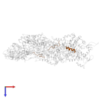 tRNA(Thr) (cytosine(32)-N(3))-methyltransferase in PDB entry 7bte, assembly 1, top view.