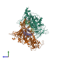 Hetero trimeric assembly 1 of PDB entry 7bvc coloured by chemically distinct molecules, side view.