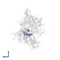 Meromycolate extension acyl carrier protein in PDB entry 7bvc, assembly 1, side view.