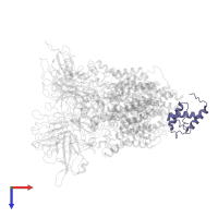 Meromycolate extension acyl carrier protein in PDB entry 7bvc, assembly 1, top view.