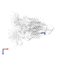 4'-PHOSPHOPANTETHEINE in PDB entry 7bvc, assembly 1, top view.