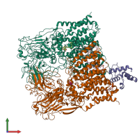 PDB entry 7bvg coloured by chain, front view.