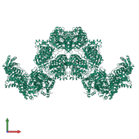 Bifunctional aldehyde-alcohol dehydrogenase AdhE in PDB entry 7bvp, assembly 1, front view.